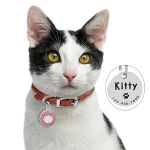 Cat Tags & Charms