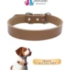 Pet ID Tag with Personalization