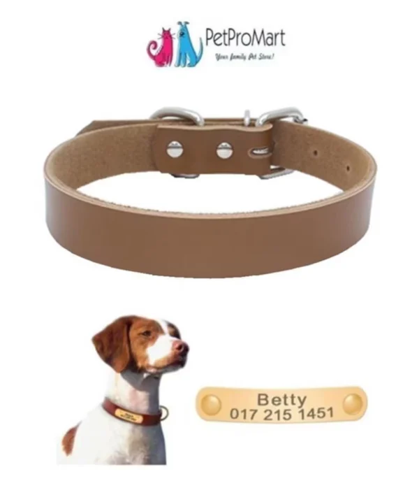 Pet ID Tag with Personalization