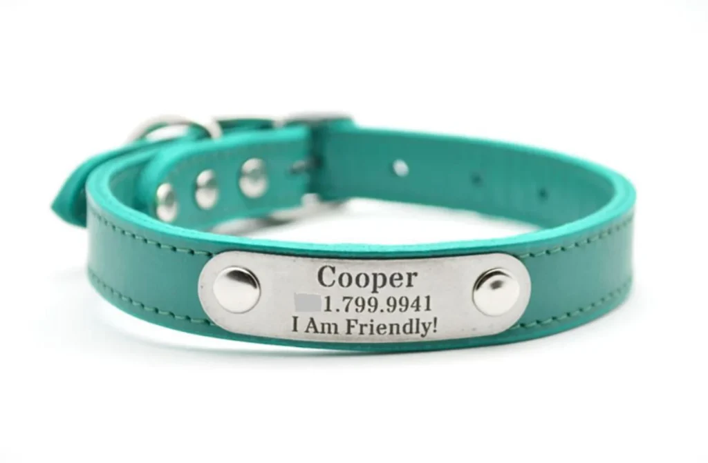 Dog Collar Name Plate