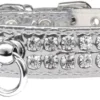 Rhinestone Designer Croc Dog Collar