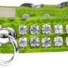 Rhinestone Designer Croc Dog Collar