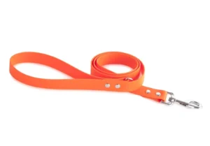 Dog Collars and Leashes