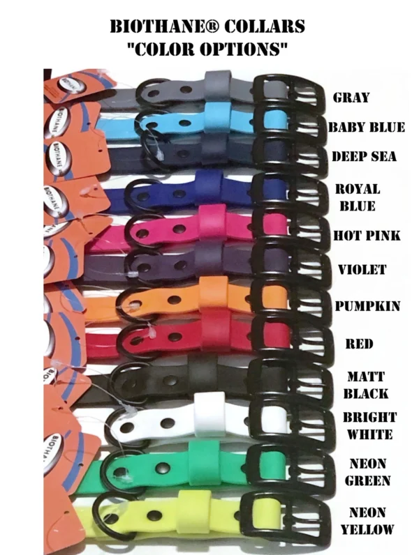 Personalized Waterproof Dog Collar Different Variant