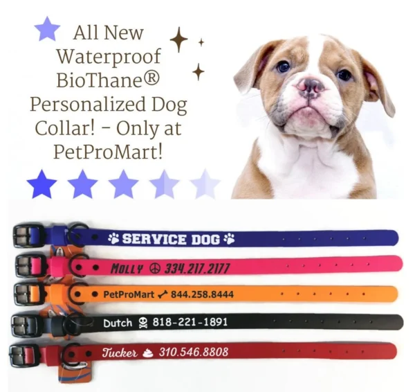 Personalized Waterproof Dog Collar Font