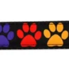 Dog Collars And Dog Leashes