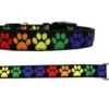 Dog Collars And Dog Leashes