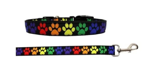 Dog Collars And Dog Leashes