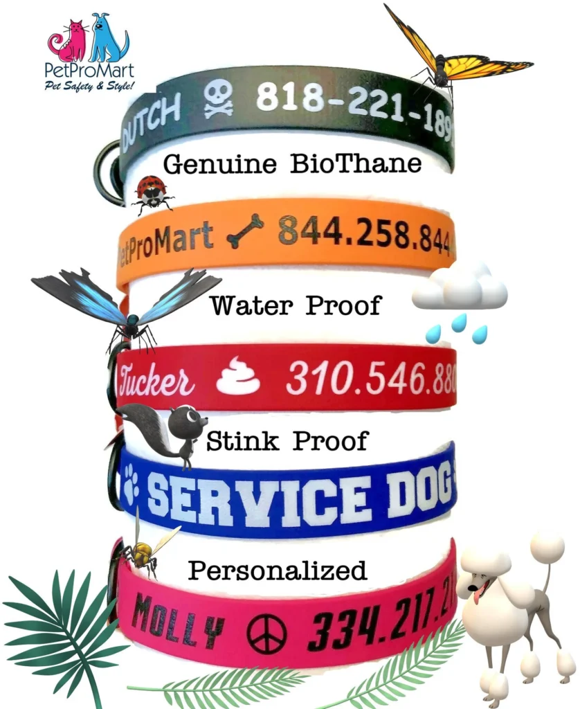 Personalized Waterproof Dog Collar Different Variant