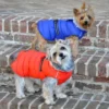 Alpine Puffer Dog Coats