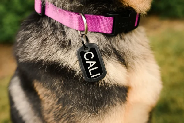 Dog Tag Key Chain