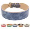 Comfortable Padded Leather Dog Collar