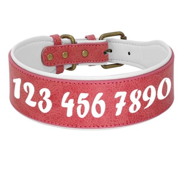 Comfortable Padded Leather Dog Collar