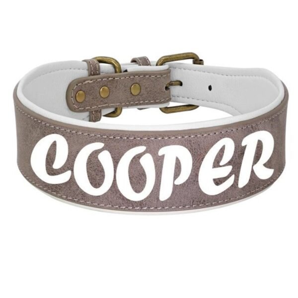 Comfortable Padded Leather Dog Collar