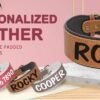 Comfortable Padded Leather Dog Collar Pet ID