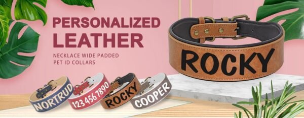 Comfortable Padded Leather Dog Collar Pet ID