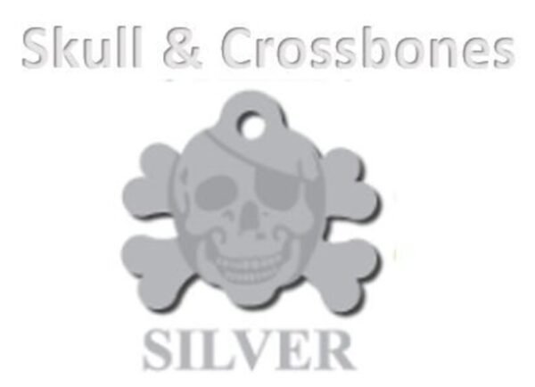 Silver Pet ID Tag