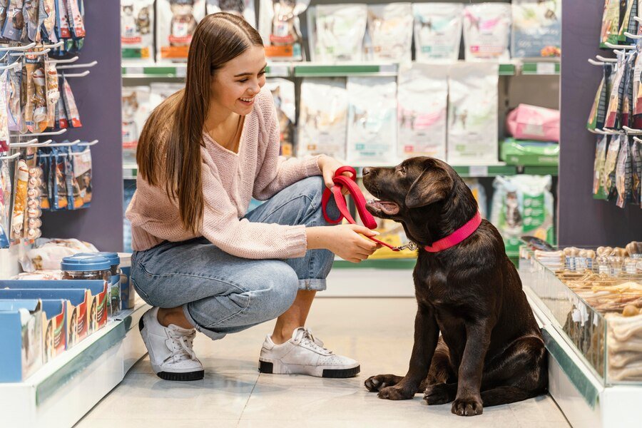 adorable dog with fe